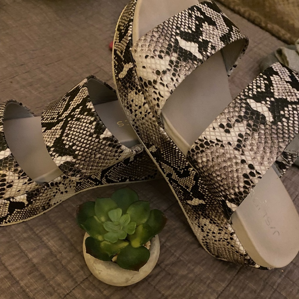 Jslides Quincy Snakeskin